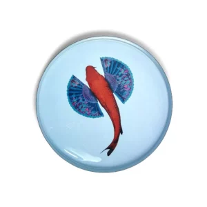 GANG-P.FISH-1