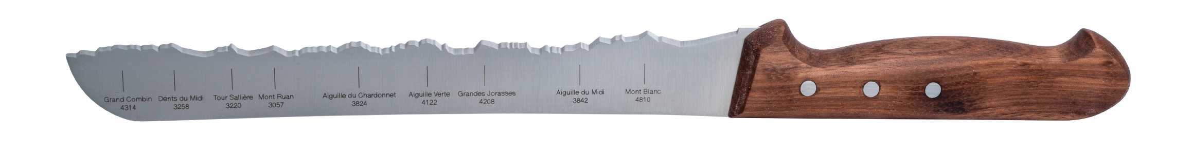 PANO-PAIN-LEMAN-4